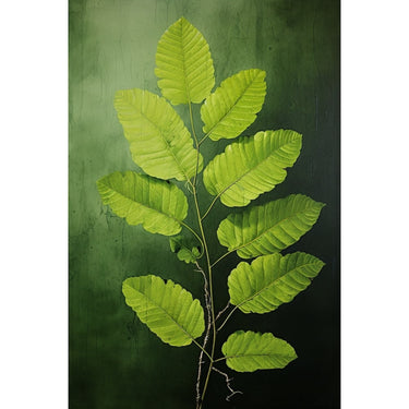Feuille Verte Tableau
